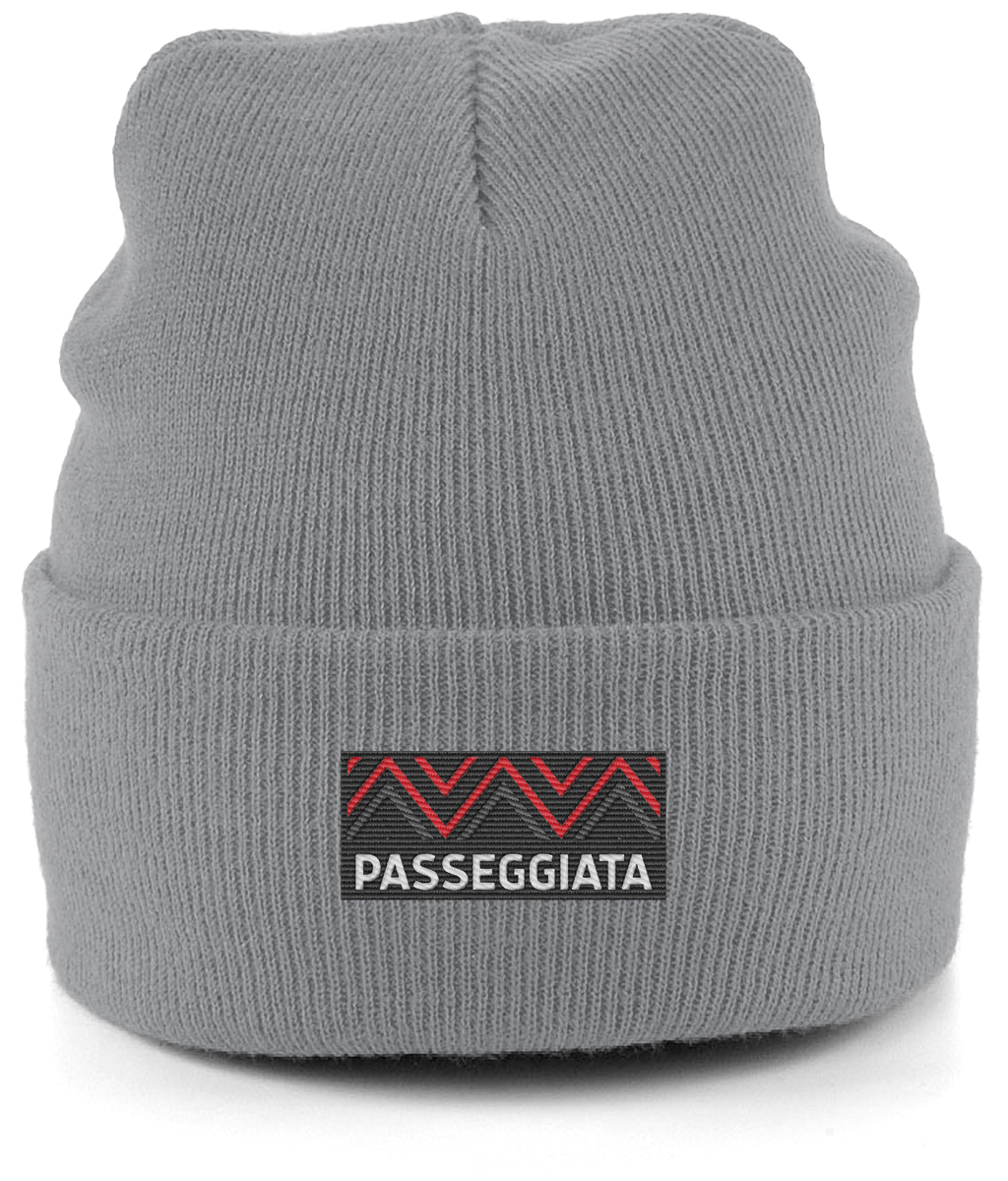 Beanie Red logo patch (Grey)