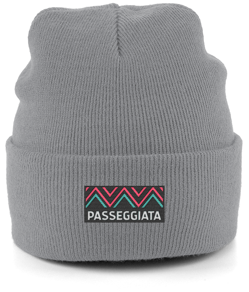 AW23 Beanie turquoise logo patch (Grey)