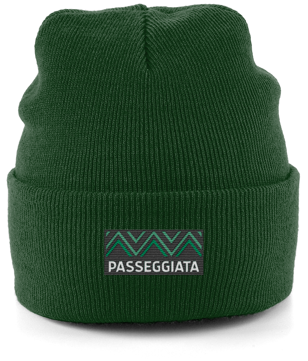 AW23 Beanie Green logo patch (Green)