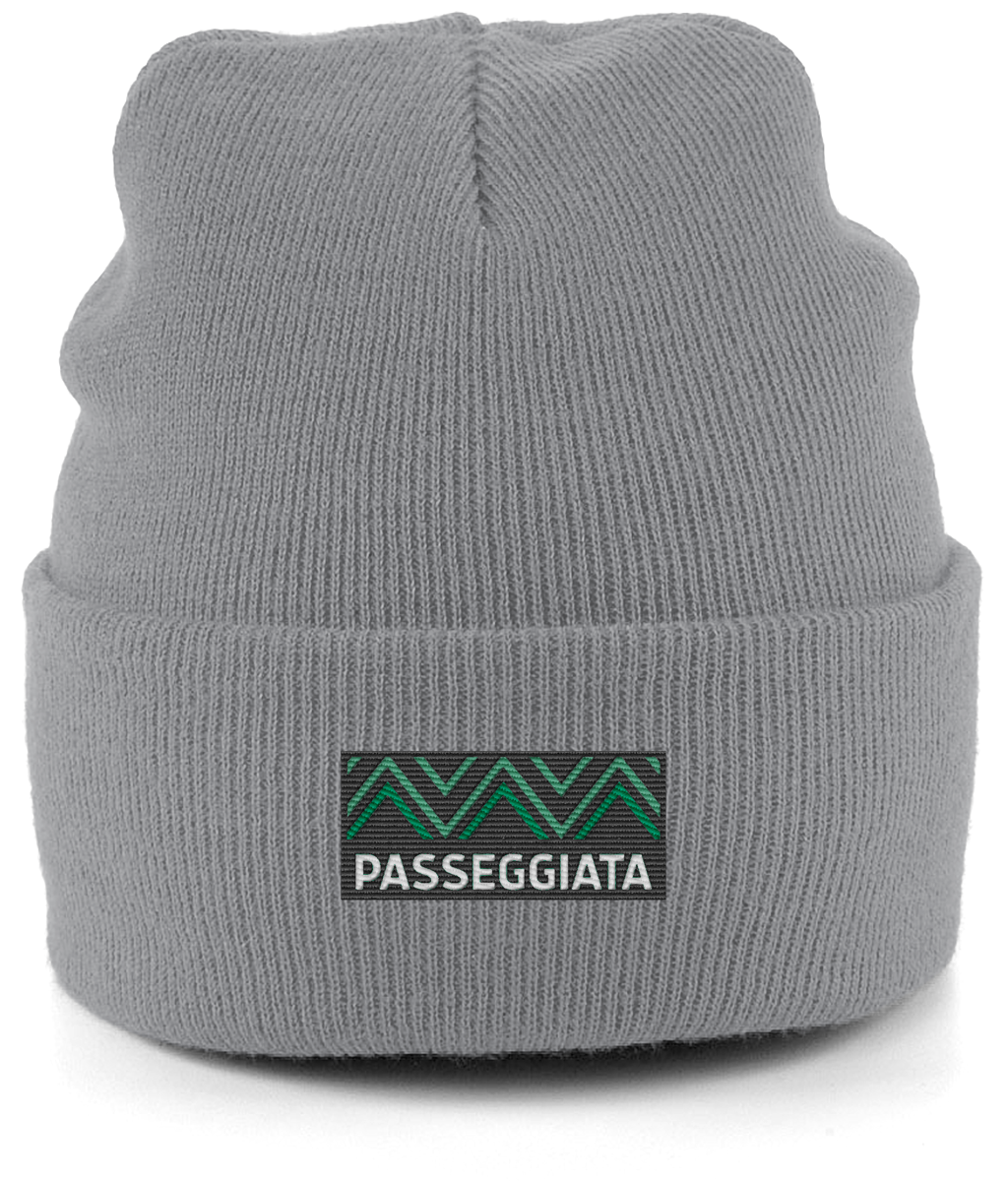 AW23 Beanie Green logo patch (Grey)