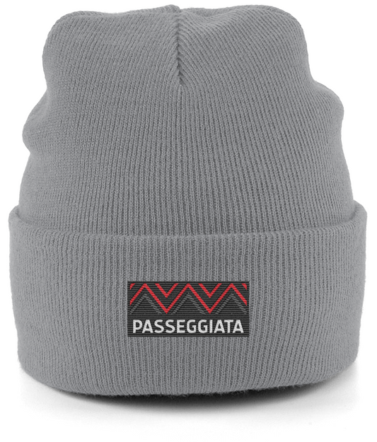 AW23 Beanie Red logo patch (Grey)