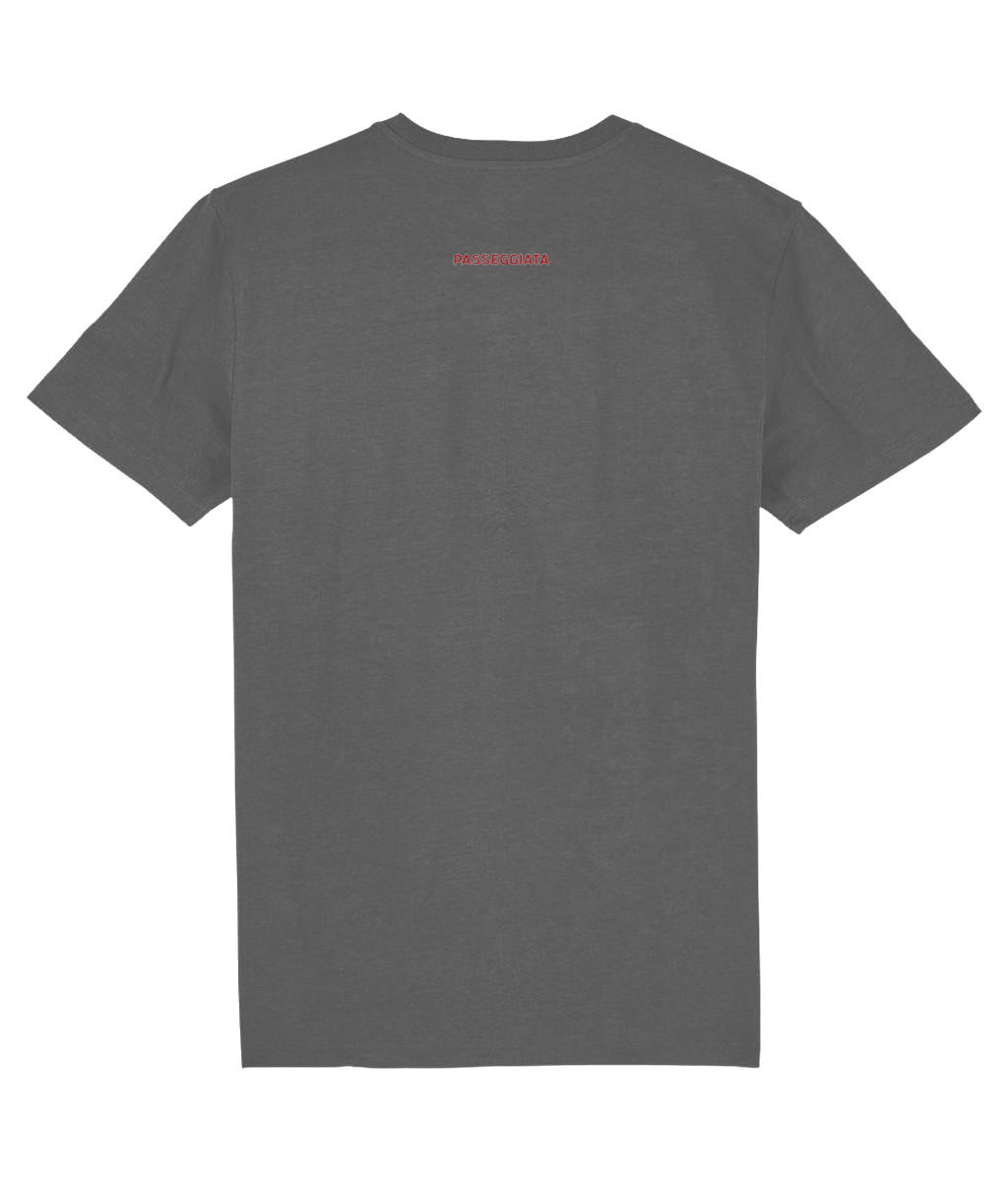 Faint Red Zig Zag T-Shirt (Anthracite Grey)